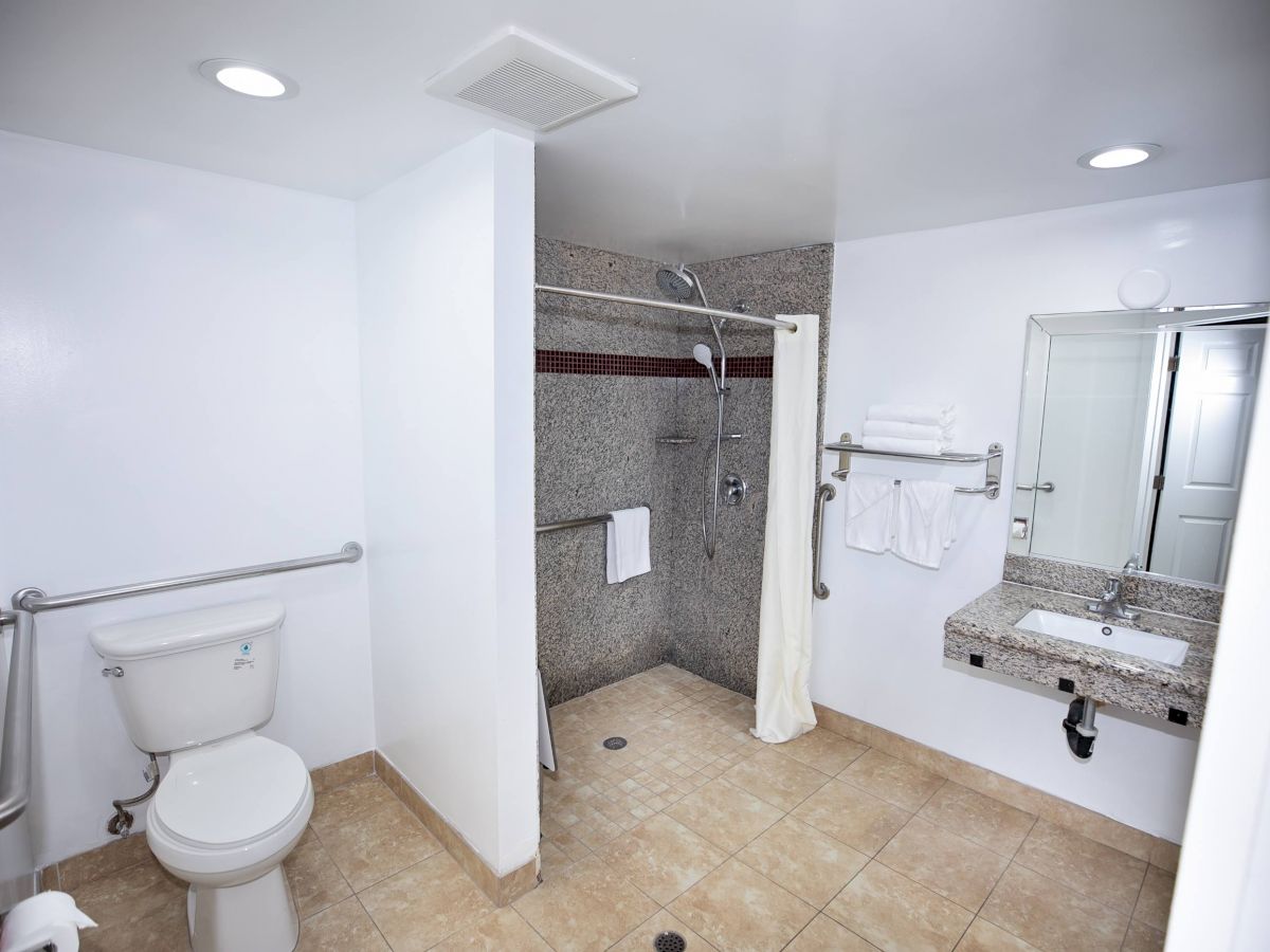 The image shows a clean, accessible bathroom with a toilet, grab bars, a walk-in shower with a curtain, and a sink with a mirror above it.