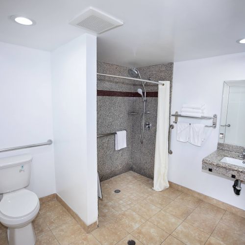 The image shows an accessible bathroom with a toilet, a walk-in shower, a sink with a mirror, and light fixtures on the ceiling.